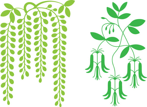 Gemini said

Vector illustration of a fresh green plant sprout with leaves on a branch symbolizing nature growth and ecology in a garden design pattern
