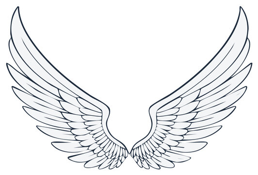 Stylized Angel Wings Outspread Graphic Illustration in White