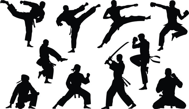 Martial arts silhouettes practicing karate taekwondo kung fu judo aikido kendo sword fighting self defense training poses stances kicks punches