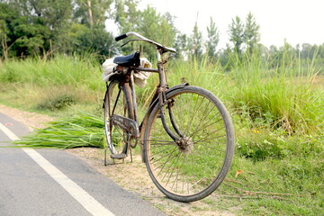 Obraz premium old riding bicycle