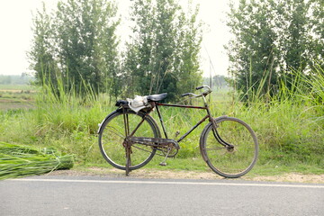 Fototapeta premium bicycle on the road