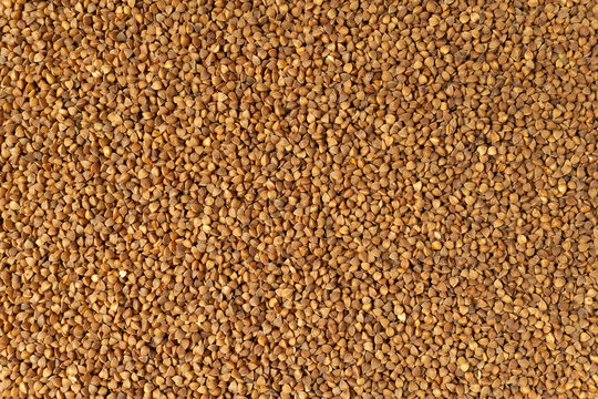Buckwheat groats creating healthy food background texture