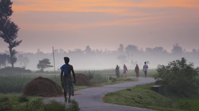 Bogura, Bangladesh - 16 November 2023: View of people walking on a winding rural road through misty fields at dawn with haystacks and soft morning light.