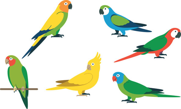 Diverse Collection Of Cartoon Parrots On White Background