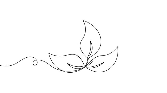 Three leaves sign icon continuous one line drawing on white background minimalist agriculture and biological science symbol 4k animation video