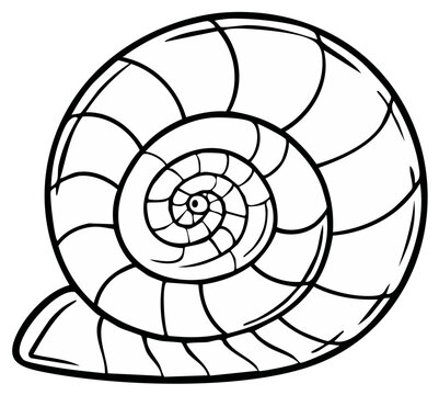 Detailed spiral snail shell illustration in black and white line art