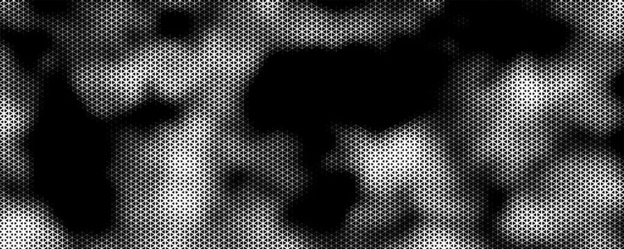 Abstract geometric black and white graphic design print halftone triangle pattern