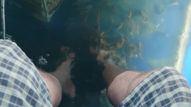 A man in plaid shorts sits with his feet in a pool where massage fish Garra rufa (also known as doctor fish) nibble away dead skin cells from the feet. Fish spa pedicure experience is a funny 