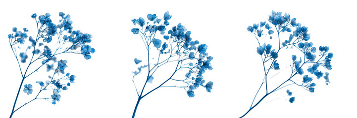 Naklejka premium Set of A detailed drawing of blue flowers with the words 