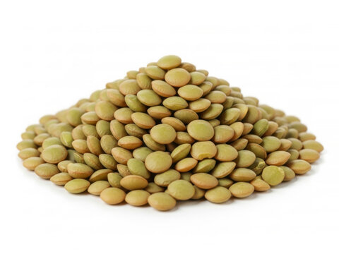 Heap of dry green lentils isolated on white background for plant based protein and nutrition