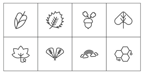 nature icon set with philodendron, birch leaf, rainbow behind a cloud, chemical structure signs in flat outline style © Abstract