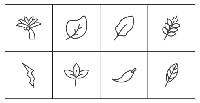 nature icon set with coconut tree standing, ovate, falcate, lanceolate signs in flat outline style