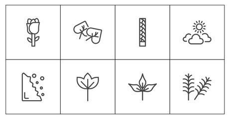 nature icon set with roses, cercis leaf, pinnation, yew leaf signs in flat outline style © Abstract