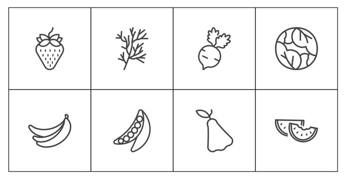 vegetables and fruits icon set with strawberry, dill, rose, watermelon signs in flat outline style