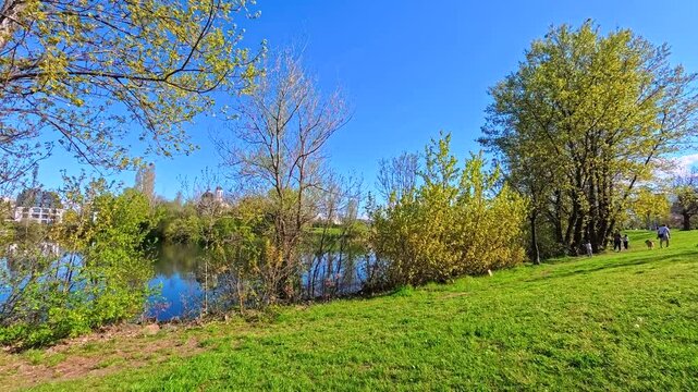 Green Park Lawn and Trees Around Blue Lake Under Clear Summer Sky, Scenic Urban Nature Landscape With Water Reflection and Sunny Weather, Peaceful City Park Environment for Relaxation and Outdoor