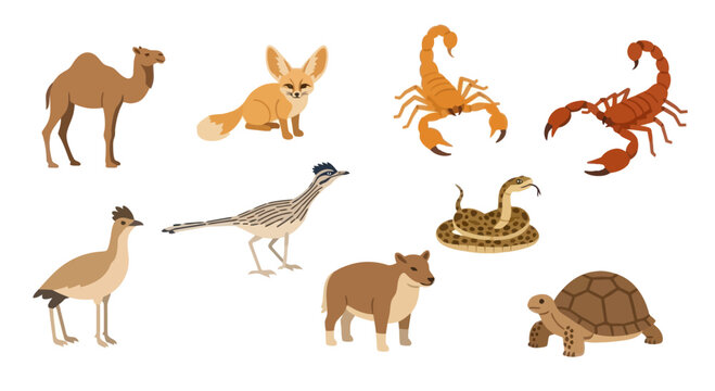 Desert Animals Collection: Camel, Fox, Scorpion, Snake, Tortoise, Bird, Coyote