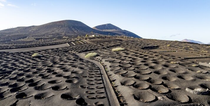 Typical drywall viticulture in volcanic landscape, on volcanic ash, lapilli, aerial view, vines, La Geria wine-growing region, Lanzarote, Canary Islands, Spain