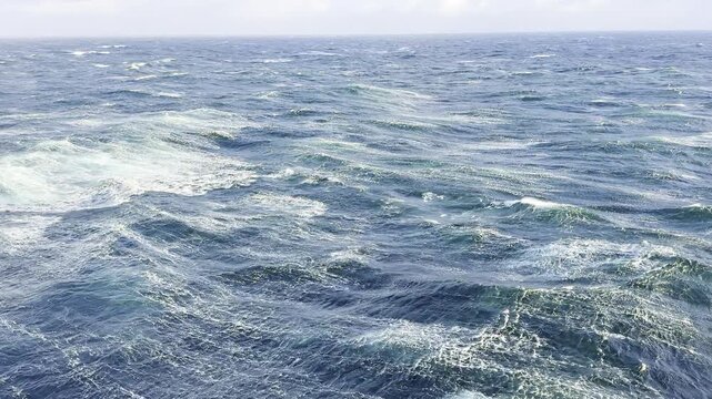 waves with 9 Beaufort storm at the high sea. foam, wave horses. strong wing and high sea. power of nature.