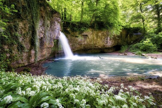 Waterfall in the forest with a small pond, wild garlic in bloom, Canton Basel-Landschaft, Switzerland