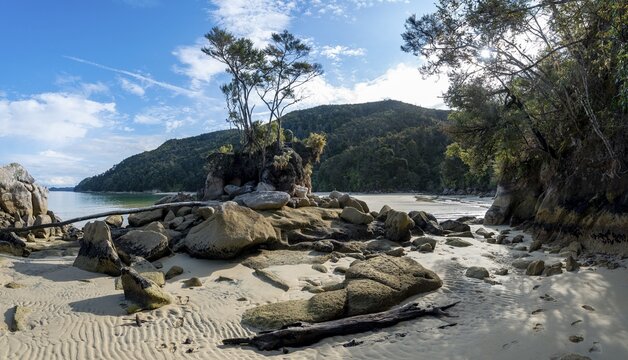 Overgrown rock on the beach of Stillwell Bay, Abel Tasman National Park, Tasman, South Island, New Zealand