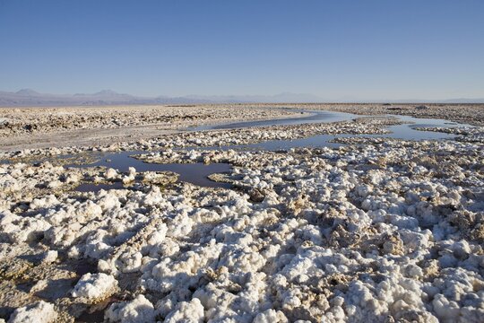 Salt formations covering the ground of the Reserva Nacional los Flamencos at the Salar de Atacama salt flats, Regi&oacute;n de Antofagasta, Chile, South America