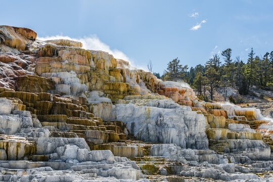 Sinter terraces, hot springs, mineral deposits, Palette Springs, Lower Terraces, Mammoth Hot Springs, Yellowstone National Park, Wyoming, USA