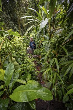 Young man, tourist on a narrow hiking trail between dense vegetation in the tropical rainforest, Laguna de Hule, Refugio Nacional de Vida Silvestre Mixto Bosque Alegre, Alajuela province, Costa Rica