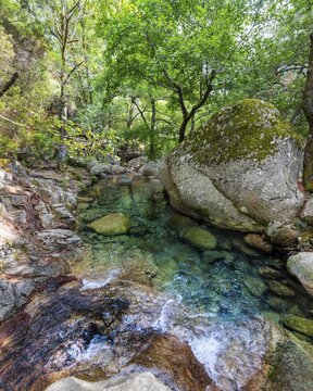 Upper course of the river Solenzara, large churn hole in the forest, Corsica, France