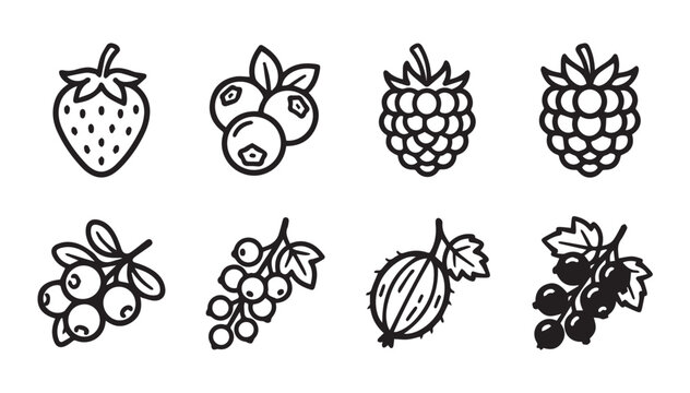 Assorted berries and fruit icons in a clean line art style for healthy food concepts