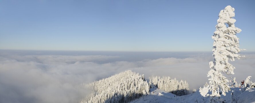 Landscape, winter, Mount Unterberg, Lower Austria, Austria, Europe