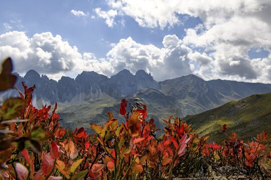 Backlit summit panorama of the Kalkk&ouml;gel, with dramatic clouds and colourful autumn leaves in the foreground, Sellrain, Innsbruck, Tyrol, Austria