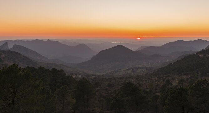 Wooded mountain landscape at sunset, Mirador Puerto del Boyar, Vale del Boyar, Sierra de Grazalema, Andalusia, Spain
