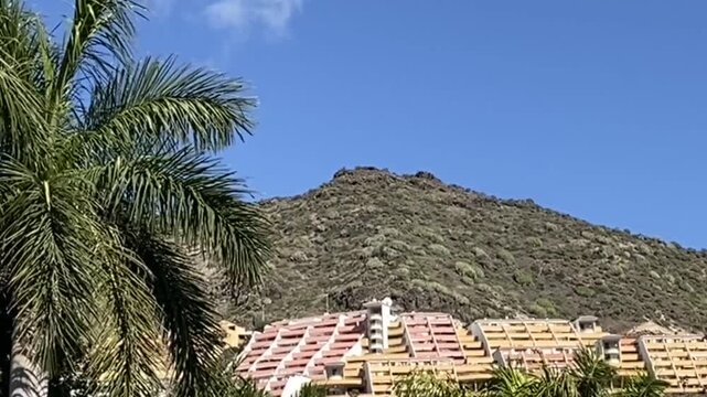 Tropical palm trees frame colorful hillside resort apartments built into a sunlit mountain slope Roque del Conde, Tenerife,Canary Islands,Spain,4K.