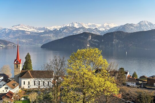 Holiday destination on Lake Lucerne with the parish church of St. Mary behind the snow-covered Alps, Weggis, Canton Lucerne, Switzerland