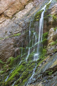 Waterfall on mossy slope in gorge, Wimbachklamm, Wimbachtal, Ramsau bei Berchtesgaden, Berchtesgaden area, Upper Bavaria, Bavaria, Germany