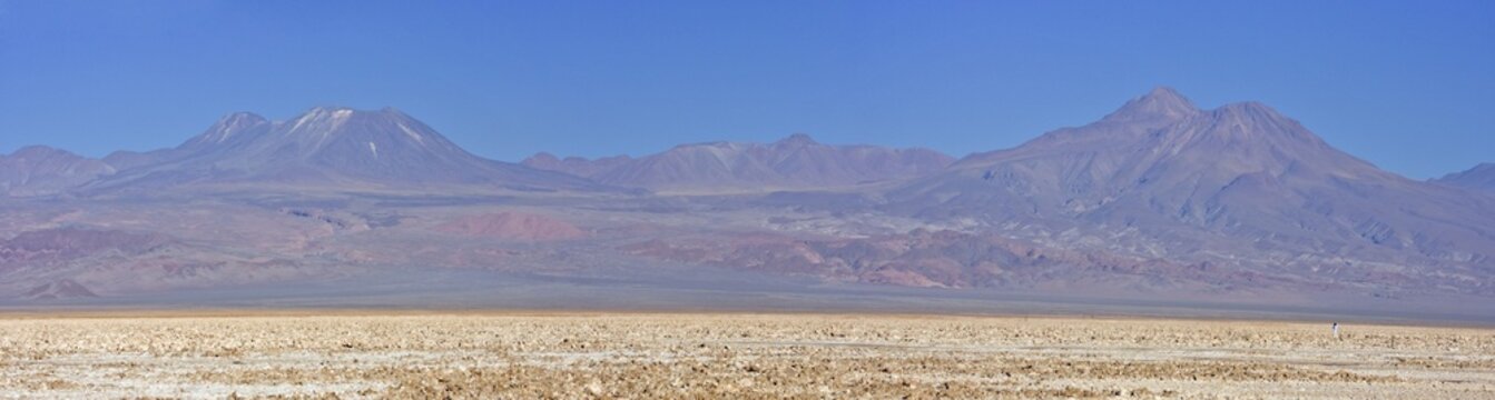 Lascar Volcano (5154 m or 16909 ft) viewed from the Reserva Nacional los Flamencos at the Salar de Atacama salt flats, Regi&oacute;n de Antofagasta, Chile, South America