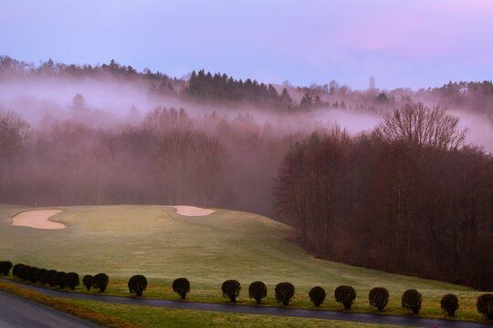 Misty winter dawn over Stegersbach golf course with row of shrubs and pink sunrise sky