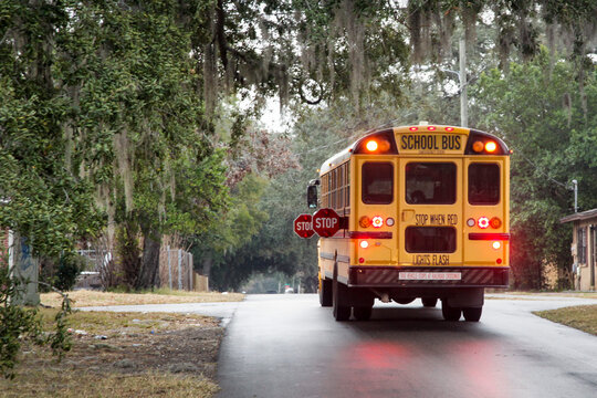 School bus driving down a misty tree-lined road