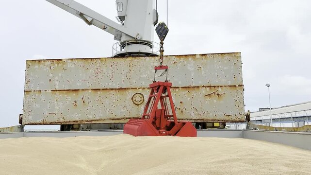 crane grab take wheat from ship full hold and bring to port. hatch covers full opened. grain leaking, dust. cargo operations in port.