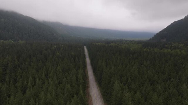 Aerial View of a Straight Road Winding Through a Dense Evergreen Forest in British Columbia, Canada