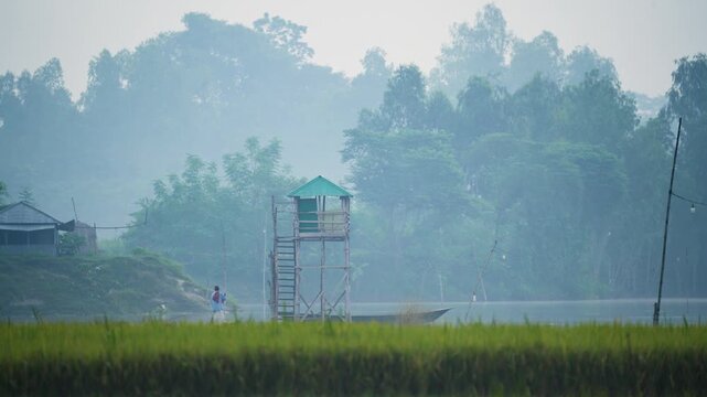 Bogura, Bangladesh - 14 December 2023: View of a wooden watchtower with a green roof standing near a river amidst misty trees and a green field.