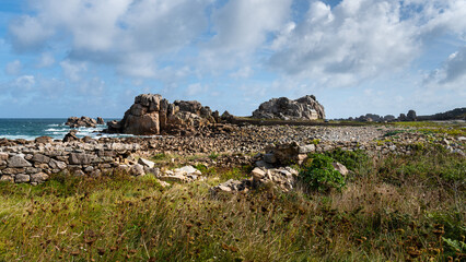 Obraz premium Dry stone walls and pink granite boulders on rugged Breton heath coast Plougrescant