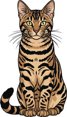 Fototapeta premium Ocicat Cat sitting upright alert facing front vector illustration