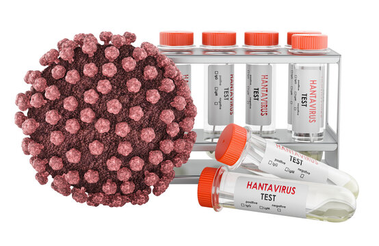 Laboratory Test Tubes for Hantavirus in a laboratory rack with Virus Particle, 3D Rendering
