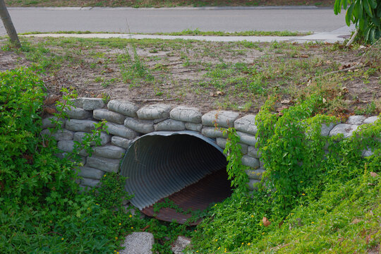 An overgrown corrugated metal culvert and drainage pipe set into a sandbag retaining wall, surrounded by dense grass, vines and small yellow flowers conveying nature reclaiming infrastructure.
