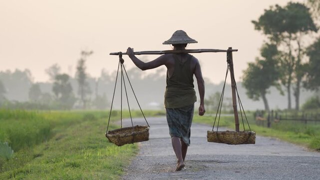 Bogura, Bangladesh - 11 December 2023: View of a local farmer walking along a rural road carrying a bamboo yoke with baskets against a backdrop of green fields and misty trees.