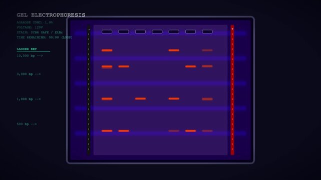 Gel Electrophoresis DNA Analysis Screen with Retro Dither Halftone