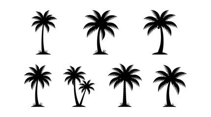 Obraz premium Group of palm tree silhouettes on white background with silhouette, tropical