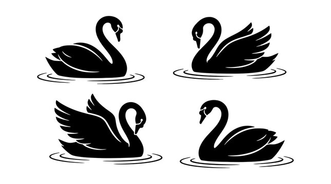 Four black swans silhouette on white background with black swan, waterfowl