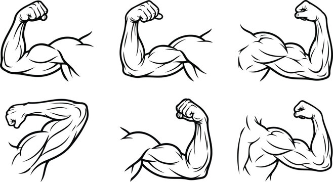 Bicep Muscle Flexing Icons Set - Strong Human Arm Silhouette Vector Illustrations for Fitness and Bodybuilding